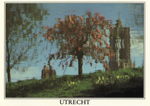 601991 Afbeelding van de spiegeling van een boom in bloesem en de Domtoren in het water van de Stadsbuitengracht te ...